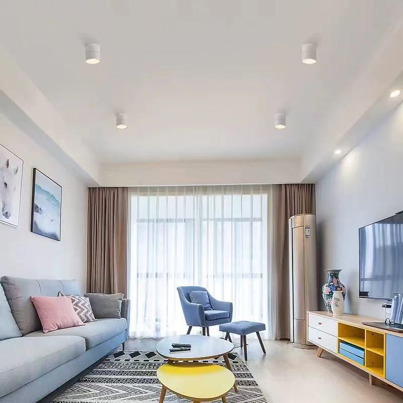 Adjustable LED Surface-Mounted Round Downlight for Living Room, Hallway, or Corridor - No Cutouts Needed, Smart Dimming Ceiling Lamp