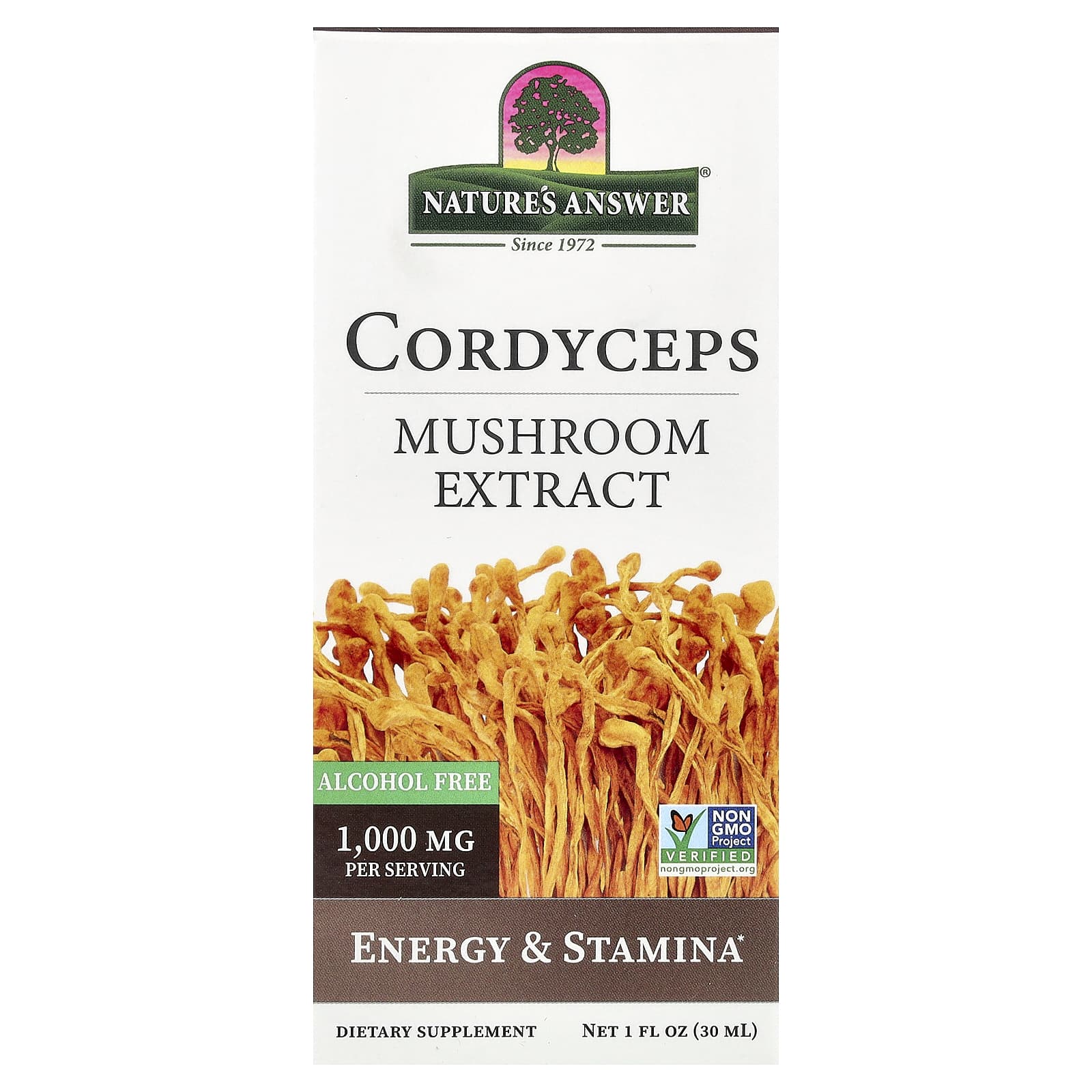 

Nature s Answer, Cordyceps Sinensis, Mushroom Extract, Alcohol-Free, 30ml (1 fl oz)
