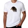 Fat Raccoon Tshirt Trendy Pattern Tshirt For Men