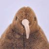 Simulation Kiwi Bird Plush Doll Stuffed Animal Soft Cuddly Toy Home Car Decor