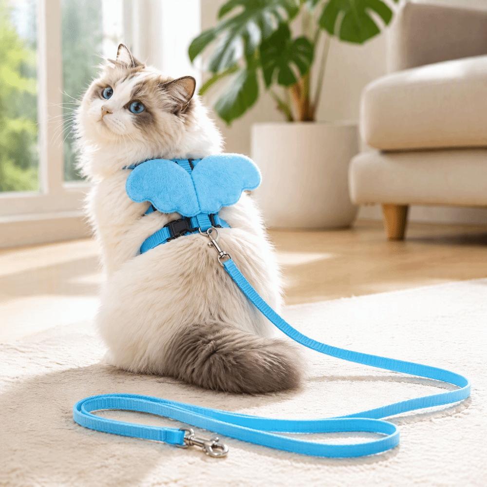 Boucle de sécurité Harnais pour animaux de compagnie Laisse Ensemble de laisses pour volaille Bleu Harnais de promenade extérieur Poulet