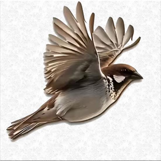 3 Stück rustikale Vogel-Wandkunst Bauernhaus Holzfliegende Vögel Wand