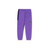 Li-Ning Professional Basketball Series Color-Block Fleece-Lined Warm-Up Pants Men Bottoms Ultraviolet AKLRG07-2