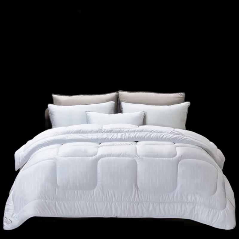 FUANNA Cloud Ultra-Soft Winter Quilt & Wireless Blender Set