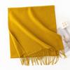 New Solid Color Maillard Imitation Cashmere Scarf for Women Autumn and Winter High End Warm Shawl Simple Scarf