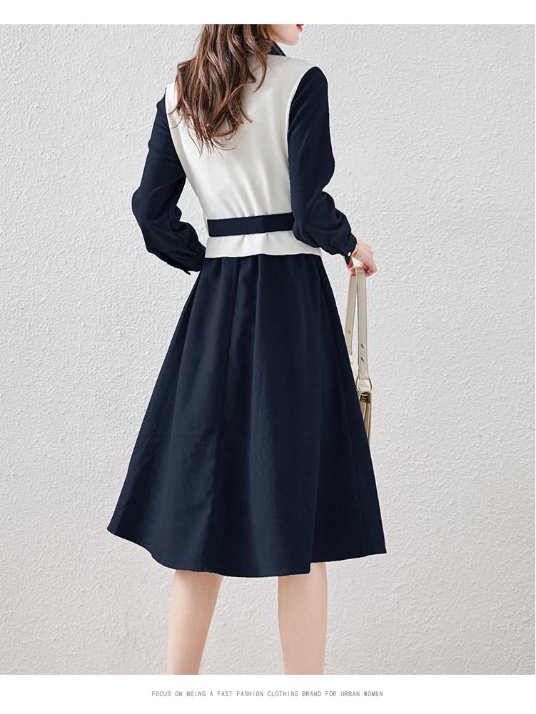Spring 2024 Trendy Women's A-Line Dress: Long-Sleeved, Waist-Slimming with Large Swing Skirt