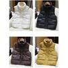 Down Vest Women Autumn Winter Fashion Stand Collar All-Match Warm Sleeveless Waistcoat Jacket Ladies