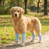 4 Stück Atmungsaktive Hundeknie-Socken Dehnbar Rutschfest Hund Ellenbogen-Schoner Hautfreundlich Kratzfest Haustier Knie-Schoner für Vier Jahreszeiten 2