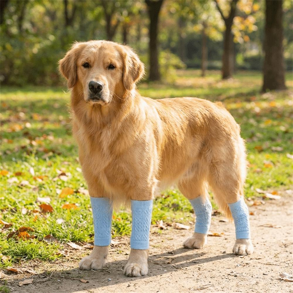 4 Stück Atmungsaktive Hundeknie-Socken Dehnbar Rutschfest Hund Ellenbogen-Schoner Hautfreundlich Kratzfest Haustier Knie-Schoner für Vier Jahreszeiten 2