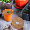 6Pcs Natural Coconut Fiber Flowerpot Liner Mat Thick Breathable Coir Mulch Ring for Plants Spider Plant Succulents Garden