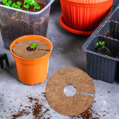 6Pcs Natural Coconut Fiber Flowerpot Liner Mat Thick Breathable Coir Mulch Ring for Plants Spider Plant Succulents Garden