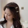 Women's Twist Cubic Slim Set Hair Clip