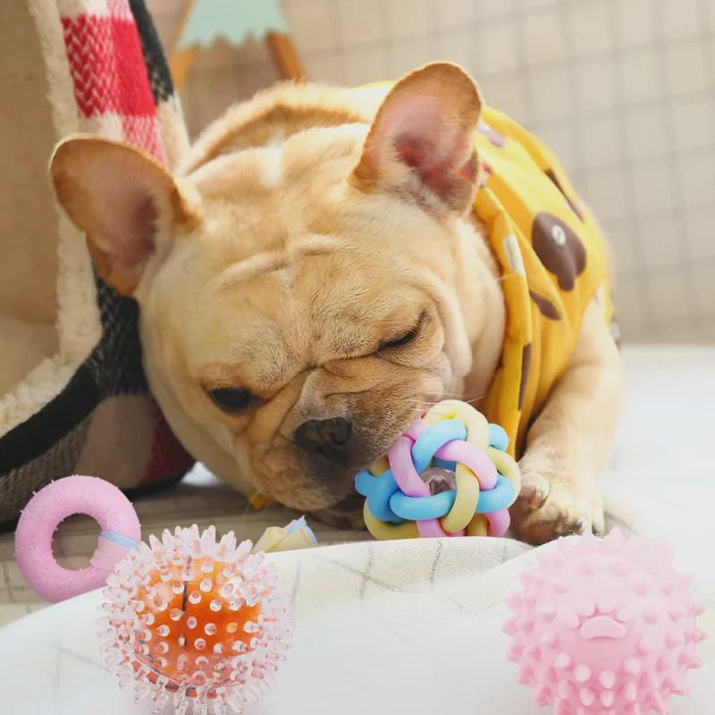 Pet Teething Toys for Cats & Small Dogs - Teddy Bichon Yorkshire Training