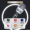 Huidu F10 Professional Wired Microphone (CN Version)