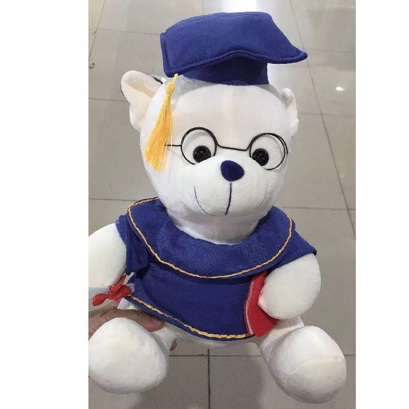 Dr Gift Graduation Teddy Bear Plush Toy Cartoon Stuffed Doll Decoration Gift