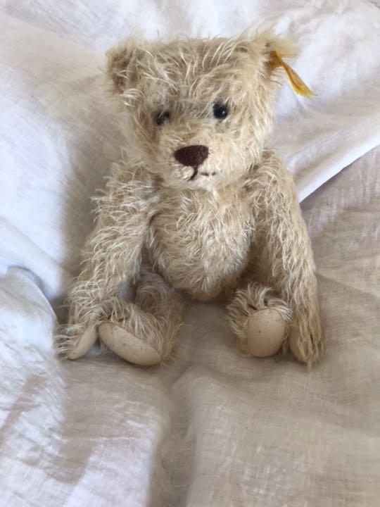 [USED] Steiff Teddy Bear