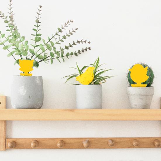 30 stk. Klistrefeller Vanntett Sterkt Lim PP Dobbeltsidige Fluefangere for Hage