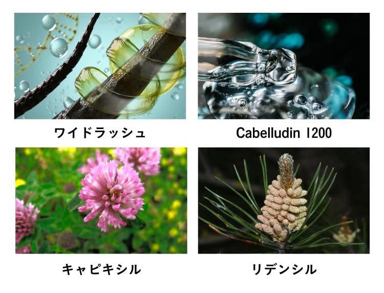 La Floria Moist Shampoo 300ml Scalp Care Eve Piazza Rose Scent La I'm (I'm Floria)