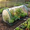 Plastic Plant Grow Tent Transparent Transparent Greenhouse Cover Plastic Greenhouse Cover  Backyard