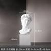 Dropship David Statue Bust Head Sculpture Cheap Red Blue White Resin the David Bust