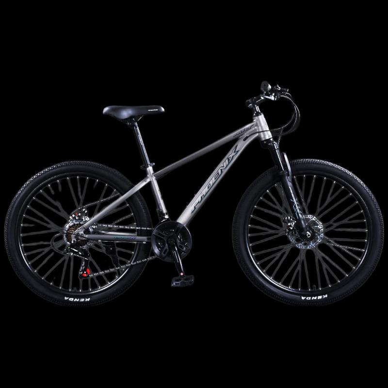 Phoenix TS666 26-inch 21-Speed Folding Mountain Bike