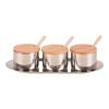 304 Stainless Steel Seasoning Jar Set with Wooden Lids