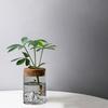 Thickened Hydroponic Flower Holder Glass Flower Pot Home Decor Mountain Viewing Bottle  Plant