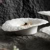 pattern straw hat bowl pasta  ceramic salad  domestic mushroom soup plate deep  senior sense club dinner plate