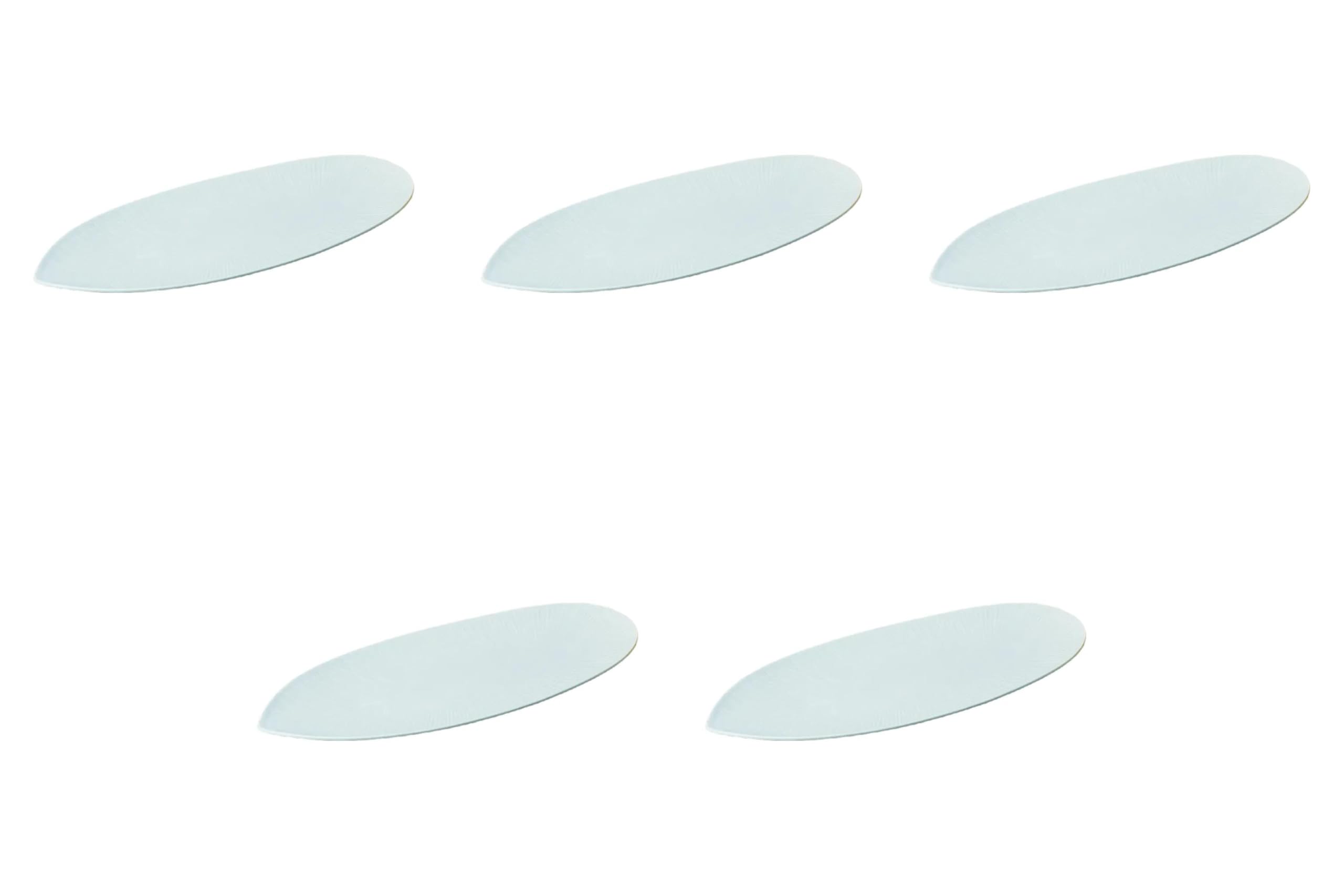 

Set of 5 Light Blue 32cm Long Plates x 13 x Large Oval Bowl by Setomonohonpo (Large) [32 2.5cm] синий