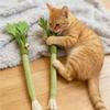 Simulation Celery Cat Chew Toys with Sound Bell, Cat Teeth Cleaning Toy Interactive Self Playing Catnip Molar Stick Pet Supplies