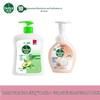 Plant Care & Grapefruit Antibacterial Hand Soap Combo