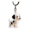 Pet Hair Collector Keychain Transparent Souvenir Capsule Waterproof Design Dog Hair Memorial Keychain