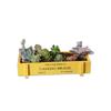 Vintage Wood Planter Box Garden Yard Micro Landscape Flower Succulent Container Plant Pot Pots De Jardin Garden Accessories