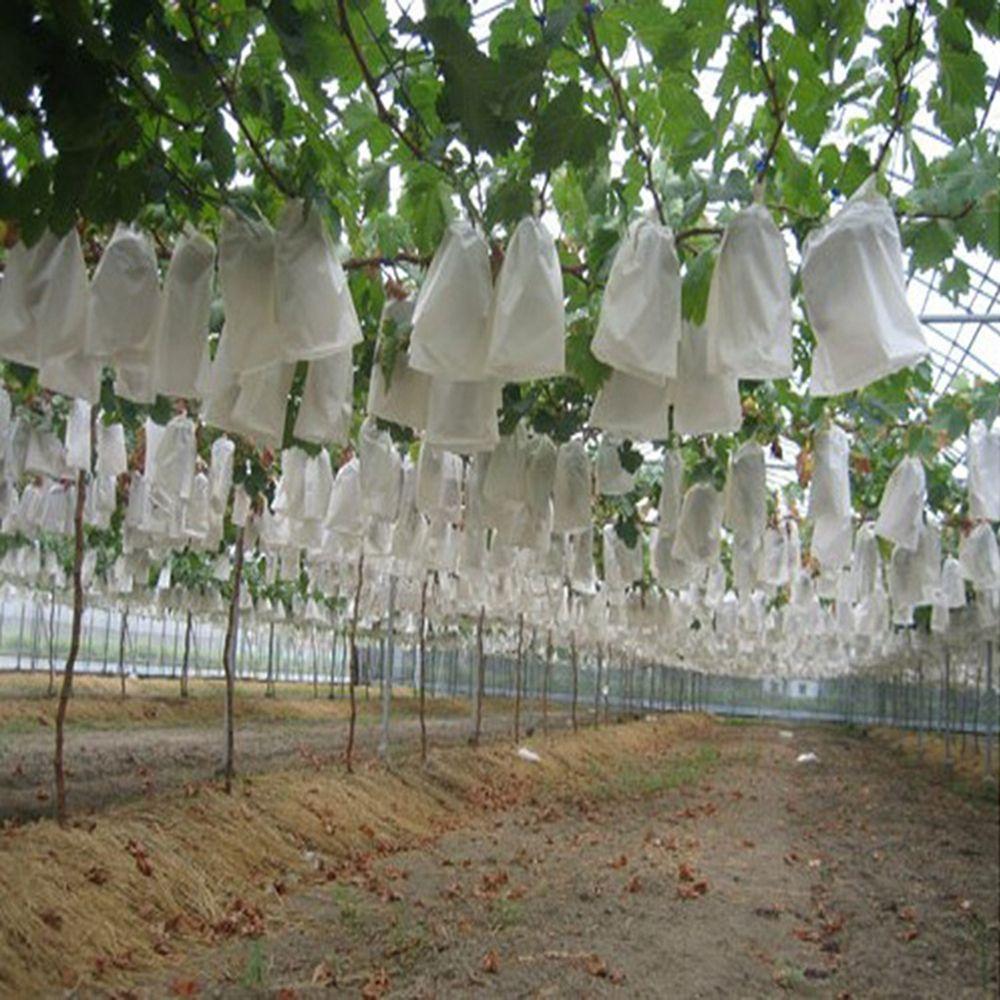 Breeding Bag Mosquitoes Anti-Bird Grape Protection Bags Mesh Bag Garden Supplies Protect Pouch