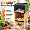 Prevent Escape Spider Pet House Transparent Crawling Pet Container  Insect Breeding