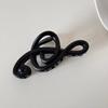 Elegant Music Note Matte Hair Clip for Women