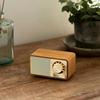 SANGEAN FM Radio Compatible Bluetooth Speaker, Cherry, WR-301 [Bluetooth Compatible]