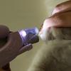 LED Pet Nail Clippers with Built-in Light Safe Easy Nail Cutting for Dogs Cats Comfortable Grip Gentle Nail Trimmers Tool