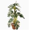 Miniature Tree Model Potted Plant for Desk Decor and Home