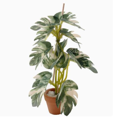 Miniature Tree Model Potted Plant for Desk Decor and Home