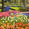 Decorative Lawn Windmill Adornments for Garden 10Pcs Outdoor Pinwheels