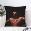 Pillow Cover Singer Benson Boone Vintage Pillow Case For Living Room Sofa Pillowcases