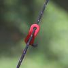 Aluminium Tent Windtouw Versteller Scheerlijn Koordslot Spanner Buiten Kamperen Luifel Afdak Bevestiging Glijder Accessoire