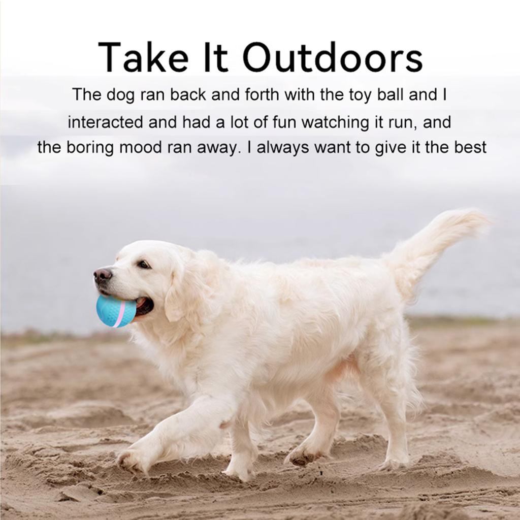 Bewegungsaktivierter Hunde Smart Ball Interaktives Hundespielzeug mit LED-Lichtern Automatische Rollball-Spielzeuge