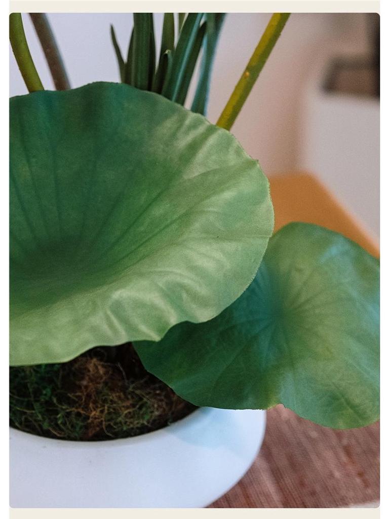 Bonsai Lotus Zen Arrangement: Elegant Artificial Flowers for Teahouse Décor