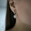 Silver Earrings with Cubic Zirkonia (2177500)