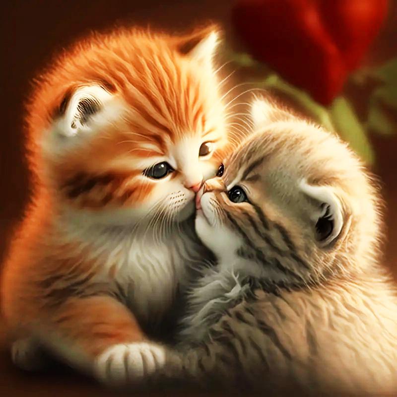 DIY Diamond Painting Cute Kitten Cross Stitch Kit Mosaic Art Diamond Painting Full Circle Diamond Home Decoration