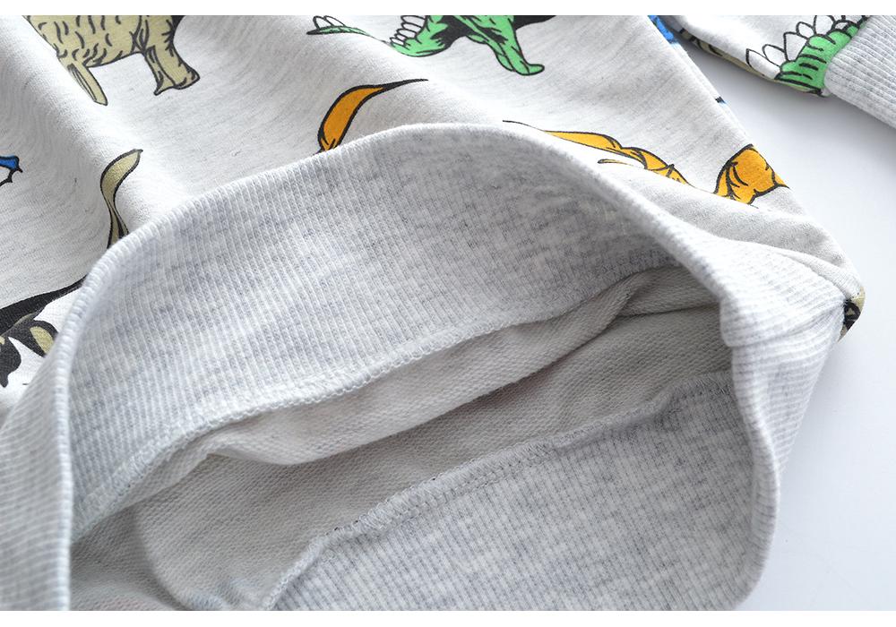 Children's Cartoon Cotton Hoodie – Boys' Long-Sleeve Autumn Wear