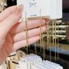 Female Personality Versatile Fashion Long Style Simple Earrings
