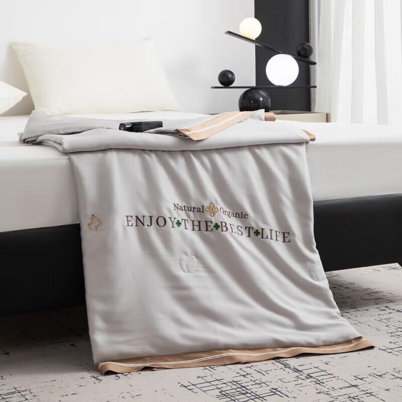 Muji Tencel Embroidered Mulberry Silk Summer Quilt